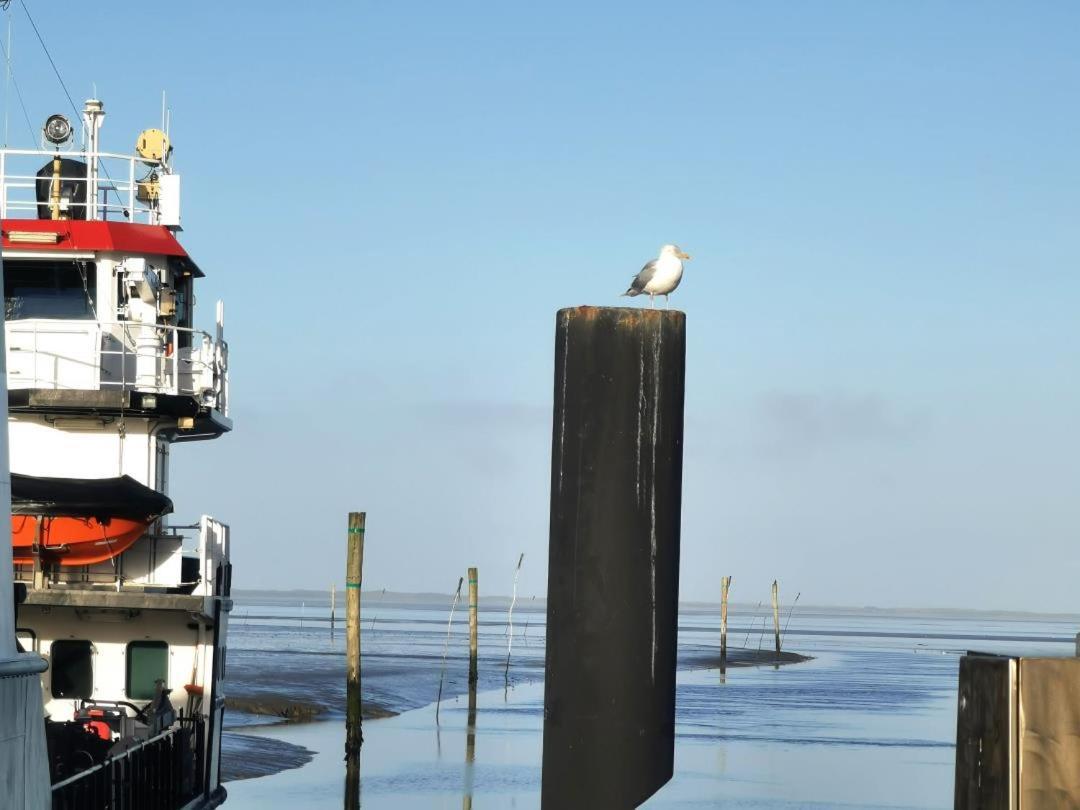 Schicke Ferienwohnung Julia An Der Nordsee Lutetsburg Ngoại thất bức ảnh